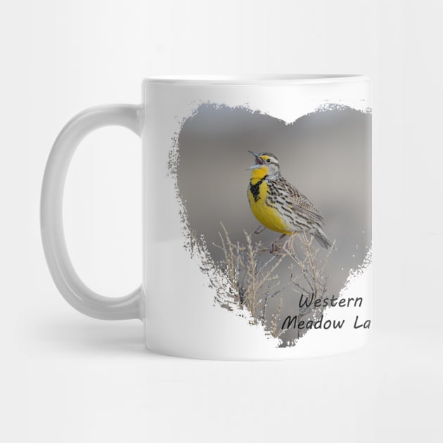 Western Meadowlark by Whisperingpeaks